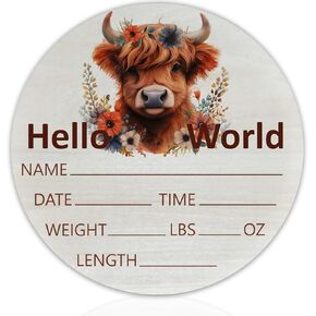 Hello World Newborn Sign Highland Cow Baby Name Birth Announcement Sign for Nursery Hospital Welcome Baby Name Plaque 6 inch Circle Birch Wood Board Birth Stat Sign Newborn Gifts for Mom