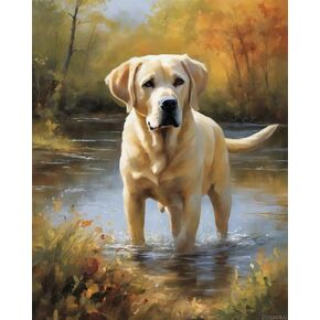 الطلاء Zuvrdiai بأرقام للبالغين لابرادور المسترد الكلب DIY Digital Painting Higts Kits Canvas Art Home Decoration 16x20inch