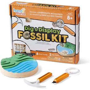 Hand2Mind Dig & Display Fossil Dig Kit ، حالة عرض أحفوري ، 8 أحافير حقيقية للكشف ، مجموعات الحفر للأطفال ، مجموعة الحفر الأحفورية للأطفال ، مجموعة الحفر للأطفال ، العلوم الأحفورية ، مجموعات الآثار