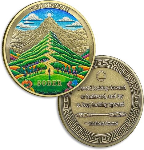 8 Months Sobriety Coin Eight Months Sober Coins August AA Chips and Medallion Sun Chip Alcoholics Anonymous Coin Recovery Anniversary Token Sobriety Gifts for Women Men in Kuwait