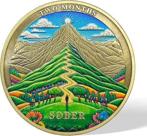 8 Months Sobriety Coin Eight Months Sober Coins August AA Chips and Medallion Sun Chip Alcoholics Anonymous Coin Recovery Anniversary Token Sobriety Gifts for Women Men in Kuwait