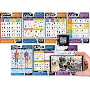 Workout Posters for Home Gym | Muscle Group Gym Poster | Exercise Posters | Laminated Gym or Home Workout Chart | FREE Video Training Support | Large Size 24" X 16.5" | Set of 7