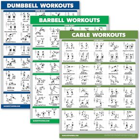 Palace Learning 3 Pack - Dumbbell Workouts + Barbell Exercises + Cable Machine Workouts - Set of 3 Workout Charts (LAMINATED, 18" x 24")