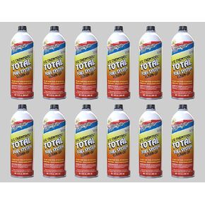 Berryman (2616-12PK) B-12 Chemtool Total Fuel System Clean-Up - 15 oz., (Pack of 12)
