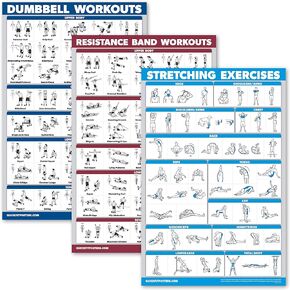 مجموعة Palace Learning 3 Pack: ملصق تمرين الدمبل + تمارين أحزمة المقاومة + تمارين التمدد - مجموعة من 3 مخططات للتمرين