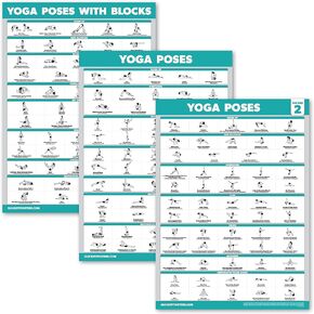 3 Pack - Yoga Poses Poster Volume 1 & 2 + Yoga Positions with Yoga Block - Beginner Yoga Position Exercise Charts - English and Sanskrit Names