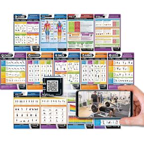 Workout Posters for Home Gym (Set of 13) - Large 24" x 16.5" - Muscle Group Gym Poster - FREE Video Training Support - Exercise Posters - Gym or Home Workout Chart