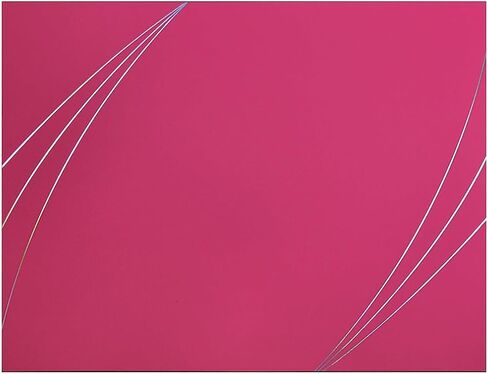 Great Papers!® غطاء شهادة Petal Touch Pink Premium، مقاس 12 بوصة × 9.375 بوصة، عدد 5 (2019000) in Saudi Arabia