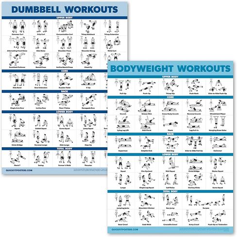 Palace Learning 2 Pack Dumbbell Workouts and Bodyweight Exercise Poster Set - Laminated 2 Chart Set - Dumbbell Exercise Routine & Body Weight Workouts [LIGHT] (LAMINATED, 18" x 24") in Saudi Arabia