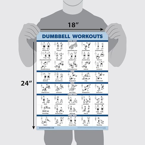 Palace Learning 2 Pack Dumbbell Workouts and Bodyweight Exercise Poster Set - Laminated 2 Chart Set - Dumbbell Exercise Routine & Body Weight Workouts [LIGHT] (LAMINATED, 18" x 24") in Saudi Arabia