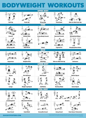 Palace Learning 2 Pack Dumbbell Workouts and Bodyweight Exercise Poster Set - Laminated 2 Chart Set - Dumbbell Exercise Routine & Body Weight Workouts [LIGHT] (LAMINATED, 18" x 24") in Saudi Arabia
