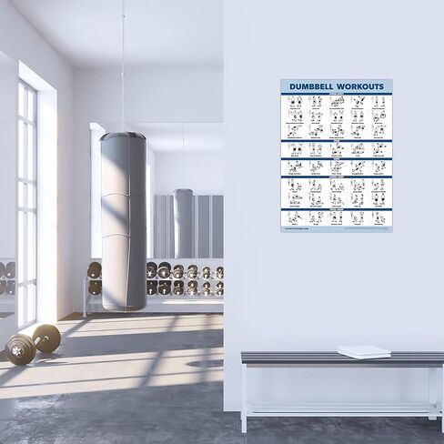 Palace Learning 2 Pack Dumbbell Workouts and Bodyweight Exercise Poster Set - Laminated 2 Chart Set - Dumbbell Exercise Routine & Body Weight Workouts [LIGHT] (LAMINATED, 18" x 24") in Saudi Arabia