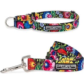 Lucky Love Dog Leash Collar Combo Set, Vivid Floral Girl or Boy Dog Leash Small to Medium Dogs, Blackbird, Small