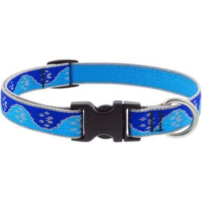 طوق الكلب العاكس للوبين 3/4 "يضبط الكفوف الأزرق العريض من 13" إلى 22 "