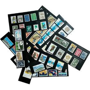 Philatelic Display Black Card Stamp Cover Stamp Collection Stamp Storage philatelic Album Stamps Collector Stamp Collecting Supplies Stamp Sleeves Stamp (2 Row Stamp Protective Cover 18 pcs)