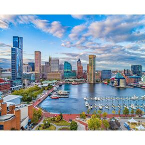 Zuvrdiai DIY Paint by Numbers Baltimore Maryland Downlown Skyline Canvas Painting with Acrylic Paints Paintbrush for البالغين للمبتدئين الهدية الفنية 16 × 20INCH