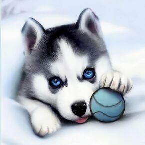 Kaliosy 5D Diamond Art Painting Husky Dog and Ball by Number Kits Paint with Diamonds Art ، DIY Crystal Craft Cross Cross Cross Decoration 14x14inch (X28028)