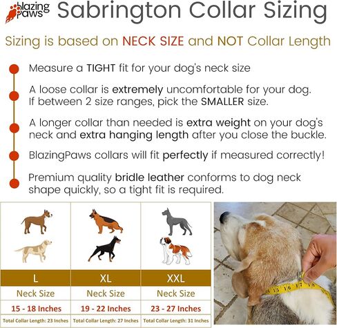 BlazingPaws® Sabrington 2 inch Wide Luxury Spike Leather Dog Collar for Large Dogs with Screw-on Spikes in Premium Black Bridle Leather and Soft Suede Leather Padding (Neck Size:19-22 Inches, Black) in Kuwait