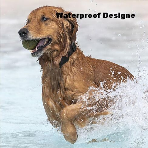Dog Tracker Cat Tracker, Waterproof Tracker for Pet Only iOS,Pet Anti-Lost Device Location Tracking Collar, Works Worldwide with Any Collar, No Other Fees, Find My Tracker (Black) in Saudi Arabia