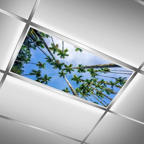 2 Pack Fluorescent Light Cover for Classroom,Flying Bird Ceiling Decorative Film Filter,Eliminate Harsh Glare Causing Eyestrain And Headaches in Saudi Arabia