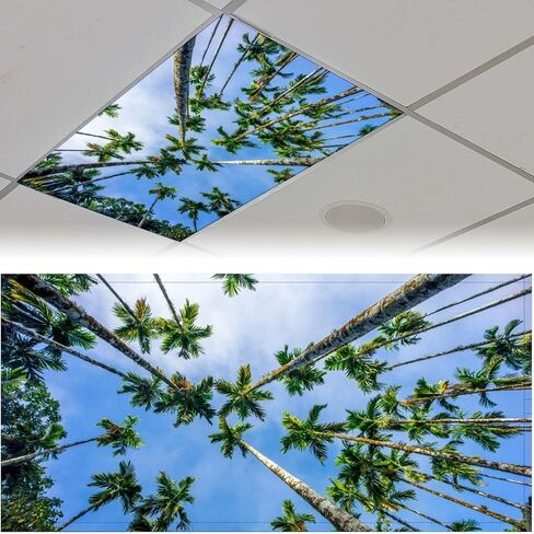2 Pack Fluorescent Light Cover for Classroom,Flying Bird Ceiling Decorative Film Filter,Eliminate Harsh Glare Causing Eyestrain And Headaches in Saudi Arabia
