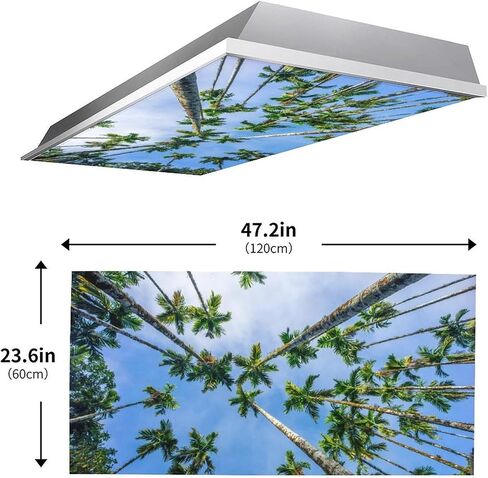 2 Pack Fluorescent Light Cover for Classroom,Flying Bird Ceiling Decorative Film Filter,Eliminate Harsh Glare Causing Eyestrain And Headaches in Saudi Arabia