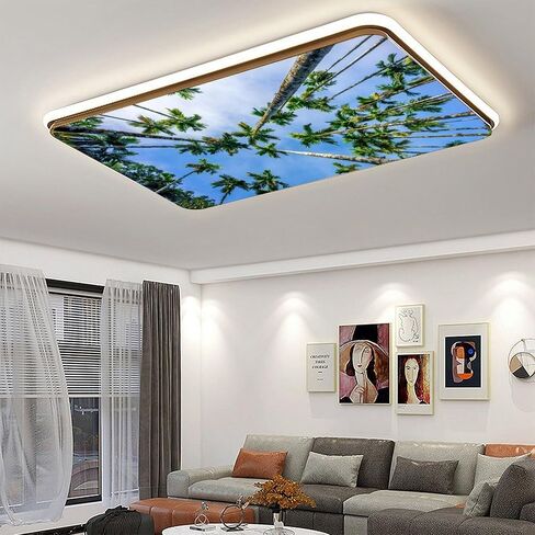 2 Pack Fluorescent Light Cover for Classroom,Flying Bird Ceiling Decorative Film Filter,Eliminate Harsh Glare Causing Eyestrain And Headaches in Saudi Arabia