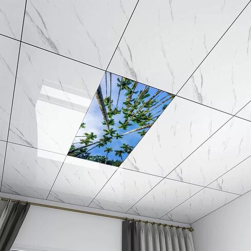 2 Pack Fluorescent Light Cover for Classroom,Flying Bird Ceiling Decorative Film Filter,Eliminate Harsh Glare Causing Eyestrain And Headaches in Saudi Arabia