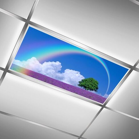 2 Pack Fluorescent Light Cover for Classroom,Flying Bird Ceiling Decorative Film Filter,Eliminate Harsh Glare Causing Eyestrain And Headaches in Saudi Arabia