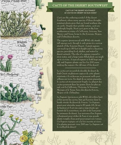 MasterPieces 1000 Piece Jigsaw Puzzle for Adults, Family, Or Youth - Cacti of The Desert Southwest - 19.25"x26.75" in Kuwait