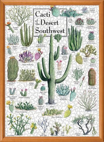 MasterPieces 1000 Piece Jigsaw Puzzle for Adults, Family, Or Youth - Cacti of The Desert Southwest - 19.25"x26.75" in Kuwait