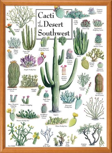 MasterPieces 1000 Piece Jigsaw Puzzle for Adults, Family, Or Youth - Cacti of The Desert Southwest - 19.25"x26.75" in Kuwait