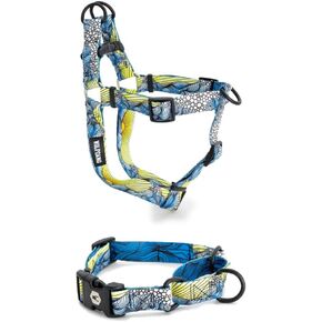 Wolfgang Harness و Martingale Collar ، طباعة Dawnpatrol ، مجموعة حزمة الكلاب