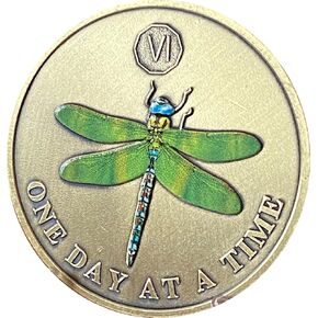 6 سنوات من اليعسوب الأخضر في يوم من الأيام في وقت ميدالية الرصانة aa na medallion