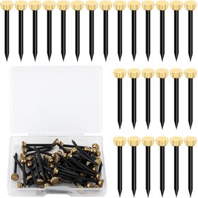 50Pcs Picture Hanging Nails Picture Hang Solutions Plaster Picture Frame Hanger Nails with Plastic Storage Box (0.07x1.02inch)