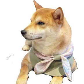 Pet Bib and Bandana مجموعة-وشاح للكلاب مع الطباعة الخضراء ، الأنيقة وغير الرسمية ، رشيقة وساحرة ، ذوق ونضارة ، مقاومة للبقع ومقاومة للأوساخ ، يحمي الفراء أثناء الأكل والشرب (xx-large)