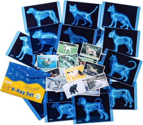 Pet Series Animal X-Rays for Kids, Pet Xrays Set, Light Table Accessories, Perfect for Vet Role Play and Learning About Pets' Anatomy in Saudi Arabia