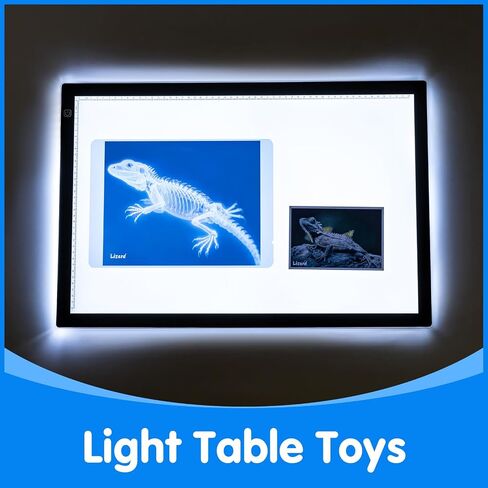Pet Series Animal X-Rays for Kids, Pet Xrays Set, Light Table Accessories, Perfect for Vet Role Play and Learning About Pets' Anatomy in Saudi Arabia
