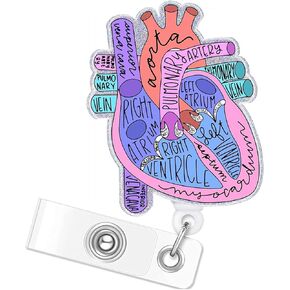 حامل شارة ممرضة القلب - تصميم القلب التشريحي ، وحامل معرف Med Surg مع بكرة قابلة للسحب ومقطع التمساح لـ ICU ، CCU ، طلاب التمريض ER