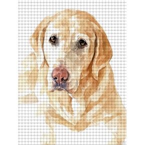 DIY 5D Diamond Painting Kits for Adults, Labrador Retrievers Diamond Painting Cute Puppy Dog Full Drills Crystal Rhinestone Art Embroidery Crafts, Home Wall Decor 12x16 inch