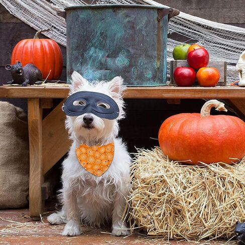 عيد الفصح الكلب باندانا قابلة للانعكاس 2 حزمة صغيرة ، عيد الفصح الأليف بانداناس للكلاب الوردي أرنب الجزر الأزهار لطيفة مثلث قابلة للتعديل الأوشحة لصبيات الصبي الصغيرة الكلاب in Kuwait