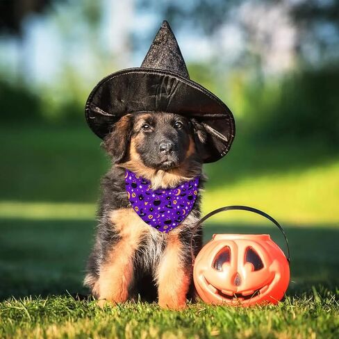 عيد الفصح الكلب باندانا قابلة للانعكاس 2 حزمة صغيرة ، عيد الفصح الأليف بانداناس للكلاب الوردي أرنب الجزر الأزهار لطيفة مثلث قابلة للتعديل الأوشحة لصبيات الصبي الصغيرة الكلاب in Kuwait