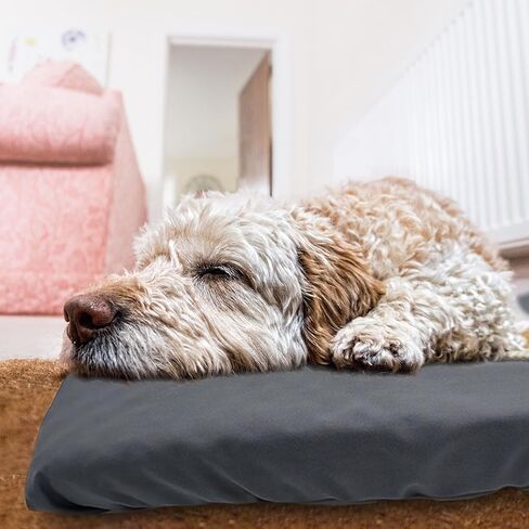 Dog Bed Cover Waterproof Replacement Machine Washable Covers for Dog Bed Heavy Duty Scratch Resistant Mattress Protector Pet Bed 36x27 Inch Cover Only in Kuwait