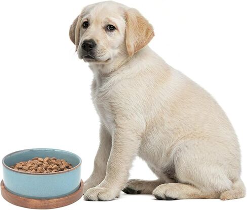 Ceramic Cat Bowl with Wooden Tray,Light Blue Glaze， 5.6 x 5.6 inch, 13.5 oz Capacity, Kiln-Formed Light Orchid Glaze, Anti-Tip Design in Kuwait