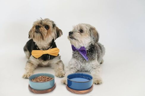 Ceramic Cat Bowl with Wooden Tray,Light Blue Glaze， 5.6 x 5.6 inch, 13.5 oz Capacity, Kiln-Formed Light Orchid Glaze, Anti-Tip Design in Kuwait