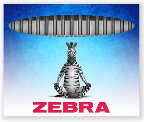 Zebra Z-Grip Smooth Ink Retractable Ballpoint Pen - 1.0mm Nib - Pack of 16 Pens - In Gift Box Packaging (Pink) in Kuwait
