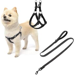 Pupteck Dog Harness and Leash