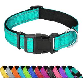 Reflective Dog Collar, Adjustable Soft Neoprene Padded Nylon Pet Collars with Buckle for Medium Dogs, Turquoise,M
