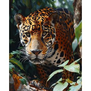 الطلاء Zuvrdiai حسب عدد البالغين ، Jaguars يتجول من خلال الغابة ، الطلاء الحرف البالغة بالأرقام ، الهدايا المصنوعة يدويًا 16 × 20 بوصة
