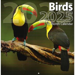 Bachmann Press 2025 Birds التقويم الحجم الكامل للتخطيط والجدولة والتنظيم